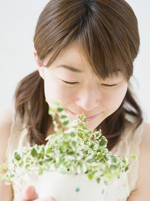 2025年最新版：フコイダンの効果と安全性を徹底解説！自然由来の健康サポートの真実